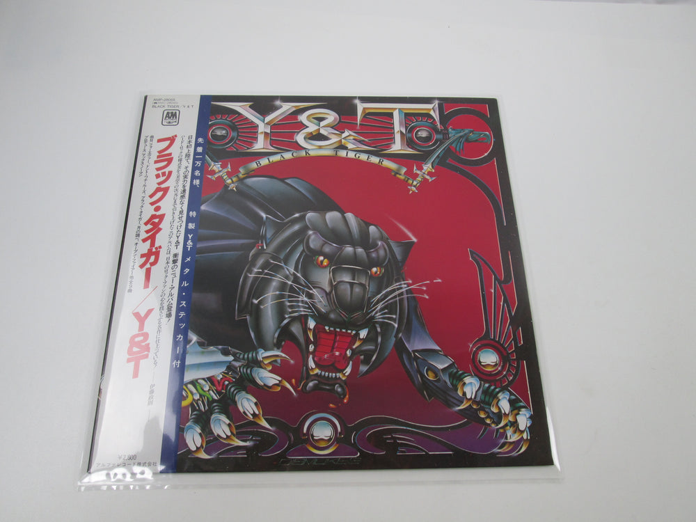 Y&T BLACK TIGER A&M AMP-28055  with OBI Japan LP Vinyl