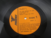 Load image into Gallery viewer, Led Zeppelin ‎Knebworth 79 LP Vinyl
