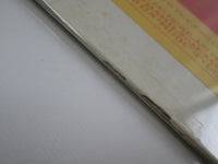 Load image into Gallery viewer, Aerosmith Rock this way Vinyl LP
