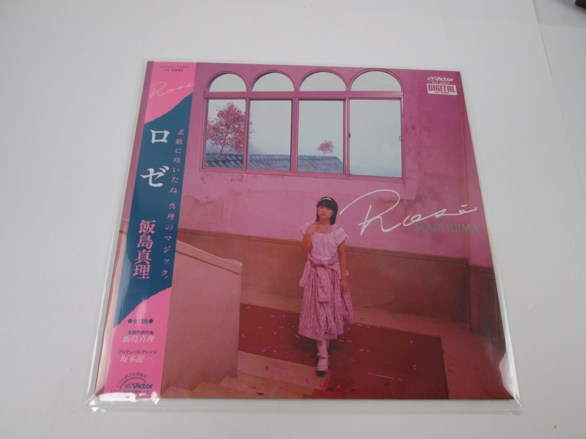貴重 見本盤 7インチレコード〔 B'z - Lady-Go-Round 〕Love & Chain