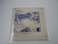 Load image into Gallery viewer, Led Zeppelin Cellarful of Noise Live in Japan LP Vinyl
