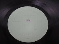 Load image into Gallery viewer, Led Zeppelin The Destroyer LP Vinyl
