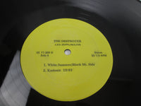 Load image into Gallery viewer, Led Zeppelin The Destroyer LP Vinyl
