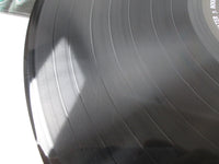 Load image into Gallery viewer, One Minute Silence Buy Now...Saved Later WR 1012361 LP Vinyl
