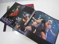 Load image into Gallery viewer, Hulk Hogan Ax Bomber VIH-28174 with OBI Japan LP Vinyl

