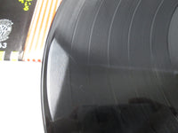 Load image into Gallery viewer, Blondie Plastic Letters WWS-80963 with OBI Japan LP Vinyl
