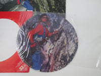 Load image into Gallery viewer, DAVID LEE ROTH SKYSCRAPER WARNER P-13624 with OBI Sheet Japan LP Vinyl
