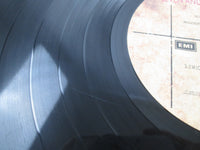 Load image into Gallery viewer, DURAN DURAN SEVEN AND THE RAGGED TIGER EMS-91072 1st press with OBI LP Vinyl
