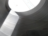 Load image into Gallery viewer, Bryan Adams Into The Fire C28Y-3166 Promo with OBI Japan LP Vinyl
