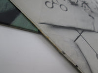 Load image into Gallery viewer, Rainbow Difficult to Cure PD-1-6316 LP Vinyl
