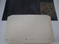 Load image into Gallery viewer, David Sylvian Gone To Earth VDL-1 LP Vinyl
