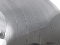 Load image into Gallery viewer, Survivor Too Hot To Sleep OZ 44282 LP Vinyl
