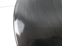 Load image into Gallery viewer, RIOT FIRE DOWN UNDER VICTOR VIP-6773 with OBI Japan LP Vinyl
