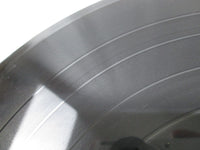 Load image into Gallery viewer, Steely Dan Can&#39;t Buy A Thrill YQ-8005-AB with OBI Japan LP Vinyl
