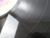 Load image into Gallery viewer, Steely Dan Can&#39;t Buy A Thrill YQ-8005-AB with OBI Japan LP Vinyl
