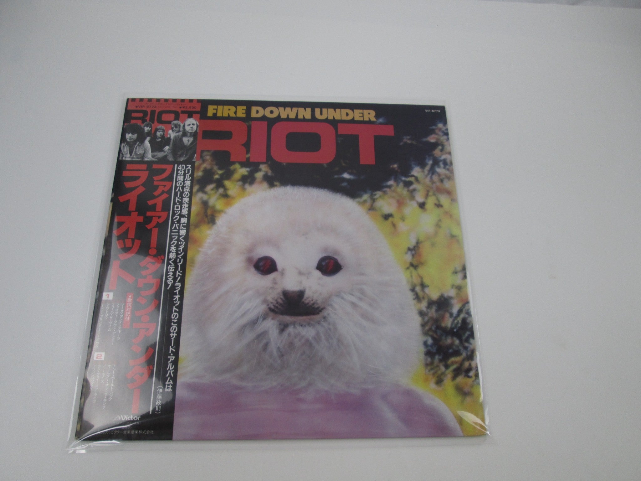 キンシナアソビ レコード 新宿】1/12(月)本日の中古新入荷|中古