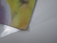 Load image into Gallery viewer, RIOT FIRE DOWN UNDER VICTOR VIP-6773 with OBI Japan LP Vinyl
