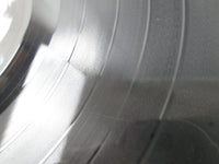 Load image into Gallery viewer, BILLY IDOL WHIPLASH SMILE Promo CHRYSALIS WWS-91157 with OBI Japan LP Vinyl
