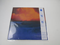 Load image into Gallery viewer, Tom Robinson Hope And Glory RCA RPL-8273 with OBI Japan LP Vinyl A
