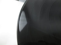 Load image into Gallery viewer, WINGS WILD LIFE APPLE AP-80377 with OBI Japan LP Vinyl
