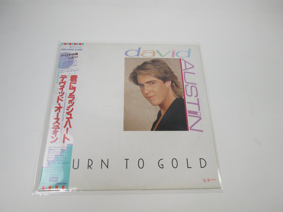 David Austin Turn To Gold Promo EMS-50146 with OBI Japan LP Vinyl