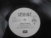 Load image into Gallery viewer, David Austin Turn To Gold Promo EMS-50146 with OBI Japan LP Vinyl
