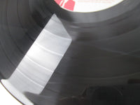 Load image into Gallery viewer, The Lords Of The New Church Is Nothing Sacred? 28AP 2846 with OBI Japan LP Vinyl
