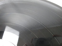 Load image into Gallery viewer, AC/DC ‎Dirty Deeds Done Dirt Cheap P-10994A Promo Japan LP Vinyl
