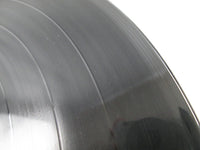 Load image into Gallery viewer, Billy Idol Chrysalis WWS-81539 with OBI Japan LP Vinyl
