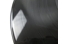 Load image into Gallery viewer, Billy Idol Chrysalis WWS-81539 with OBI Japan LP Vinyl
