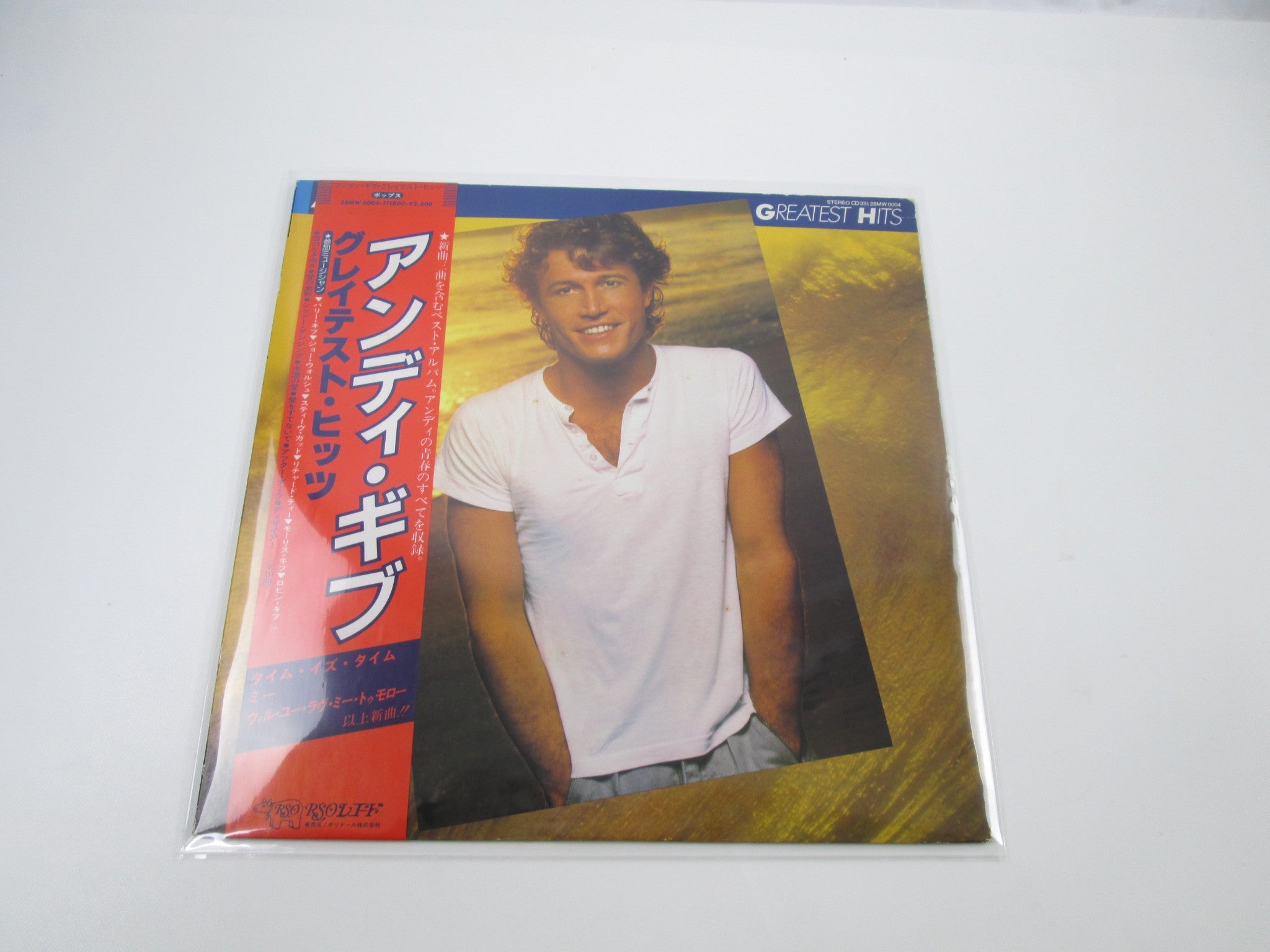 THE I SPY／MOVE ON UP LP レコード THE I SPY／MOVE ON UP LP レコード 邦楽