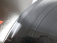 Load image into Gallery viewer, LION POWER LOVE FEMS SP20-5275 with OBI Japan LP Vinyl
