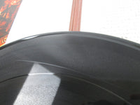 Load image into Gallery viewer, Wishbone Ash Argus MCA-5117 with OBI Japan LP Vinyl
