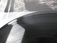 Load image into Gallery viewer, Dixon House Band Fighting Alone Promo VIP-6683 with OBI Japan LP Vinyl
