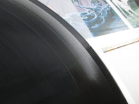 Load image into Gallery viewer, Disney 101 Dalmatians CZ-5012-DR with OBI Japan LP Vinyl
