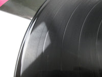 Load image into Gallery viewer, Tom Verlaine Elektra P-10717E with OBI Japan LP Vinyl
