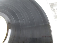 Load image into Gallery viewer, JANIS JOPLIN NEW GOLD DISC CBS/SONY SOPO 48 with OBI Japan LP Vinyl
