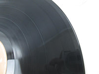 Load image into Gallery viewer, Prince 1999 Warner Bros. Records P-5617,8 Promo with OBI Japan LP Vinyl
