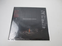 Load image into Gallery viewer, Roving Boy The Simple Truth 28JAL-3161 with OBI Japan LP Vinyl
