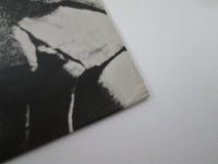 Load image into Gallery viewer, Climax Chicago Blues Band A Lot Of Bottle OP-80196 with OBI Japan LP Red Vinyl
