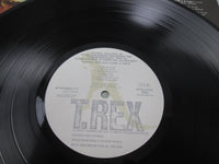 Load image into Gallery viewer, T. Rex Zinc Alloy And The Hidden Riders Of Tomorrow Promo SP20-5062 OBI LP Vinyl
