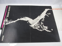 Load image into Gallery viewer, David Bowie The Man Who Sold The World RCA-6078 with OBI Poster Japan LP Vinyl
