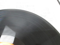 Load image into Gallery viewer, Johann Strauss Karajan Vienna Philharmonic Orchestra KIJC-9126 with OBI LP Vinyl
