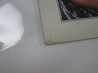 Load image into Gallery viewer, POISON LOOK WHAT THE CAT DRAGGED IN 28AP 3202 with Poster Japan LP Vinyl
