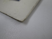 Load image into Gallery viewer, POISON LOOK WHAT THE CAT DRAGGED IN 28AP 3202 with Poster Japan LP Vinyl
