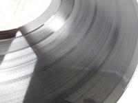 Load image into Gallery viewer, YES TALES FROM TOPOGRAPHIC OCEANS ATLANTIC P-4612,3A with OBI Japan LP Vinyl
