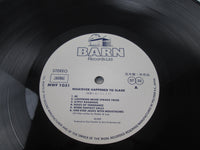 Load image into Gallery viewer, Slade Whatever Happened To Slade Promo MWF 1031 with OBI Japan LP Vinyl
