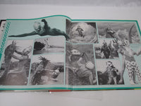 Load image into Gallery viewer, Ultraman 7 Seven Original BGM SKK 2128 with OBI Japan LP Vinyl

