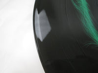 Load image into Gallery viewer, KISS Peter Chris Picture Disc VIPD-4 with OBI Japan LP Vinyl
