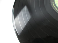 Load image into Gallery viewer, The Beatles Meet The Beatles Apple AR-8026 with OBI Japan LP Vinyl
